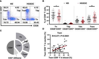 Ascitic Senescent T Cells Are Linked to Chemoresistance in Patients With Advanced High-Grade Serous Ovarian Cancer